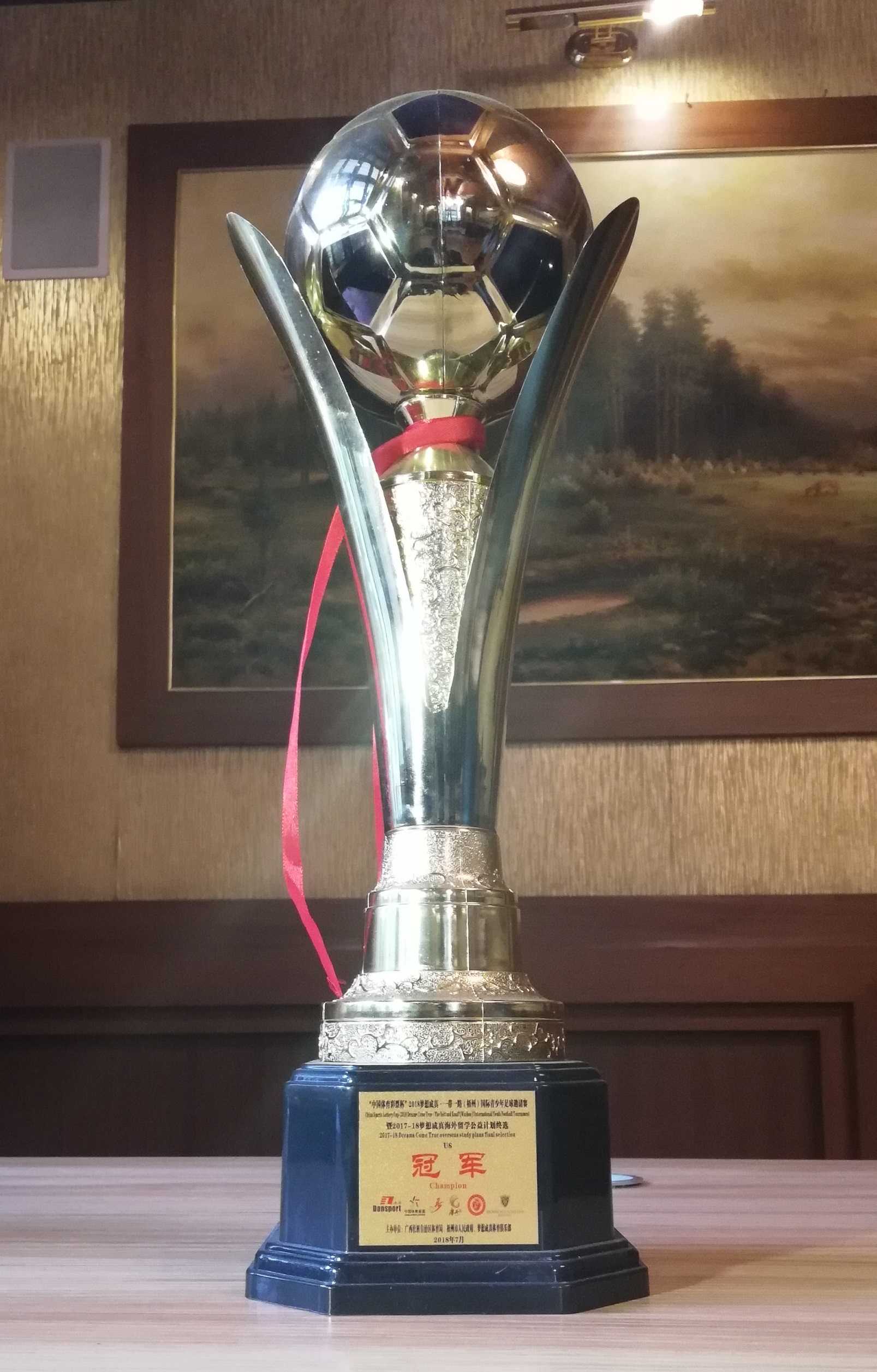 “中国体育彩票杯”2018国际青少年足球邀请赛（梧州）U8组